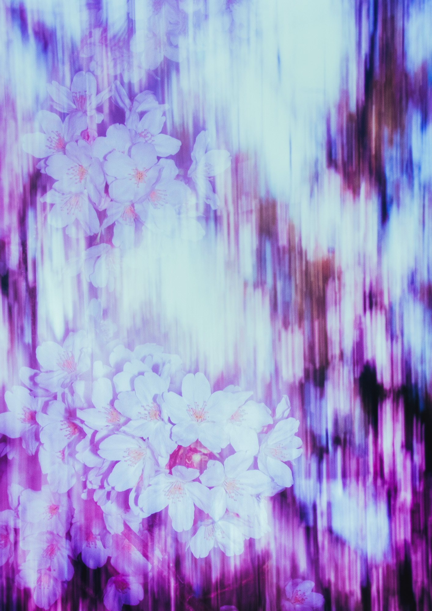 Taisei Matsumoto, 2022 exhibition work 024