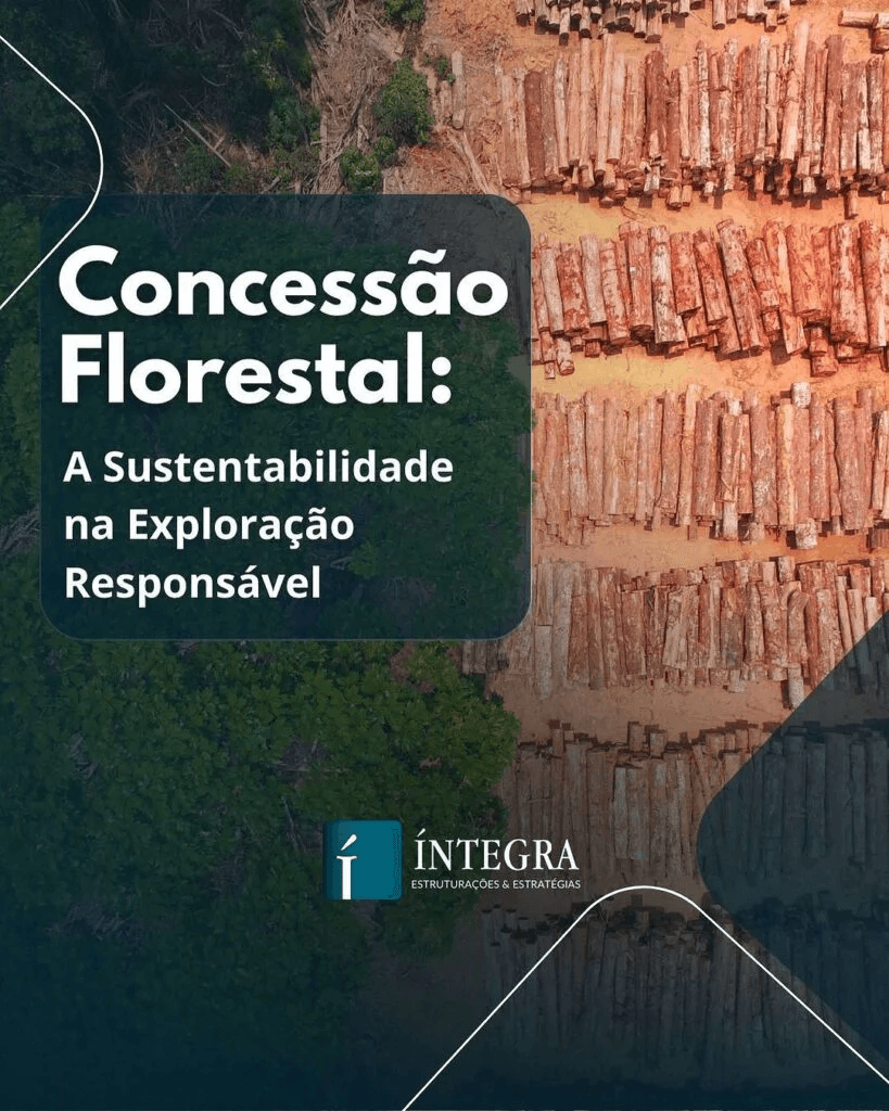 Close-up of lush, dark green leaves, some glossy and wet, against a muted background.