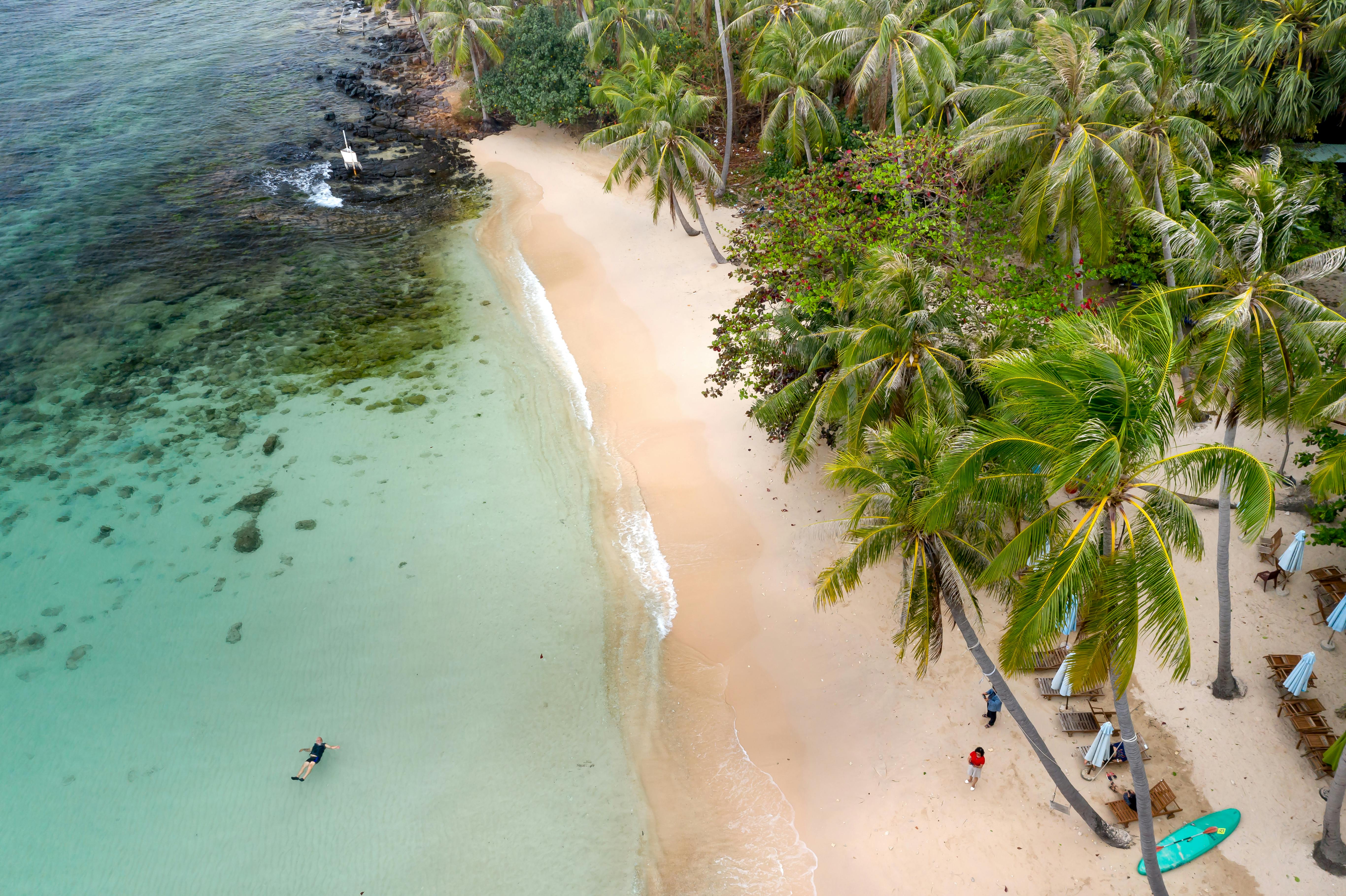 Tropical beach with palm trees – surfboard rental in waikiki