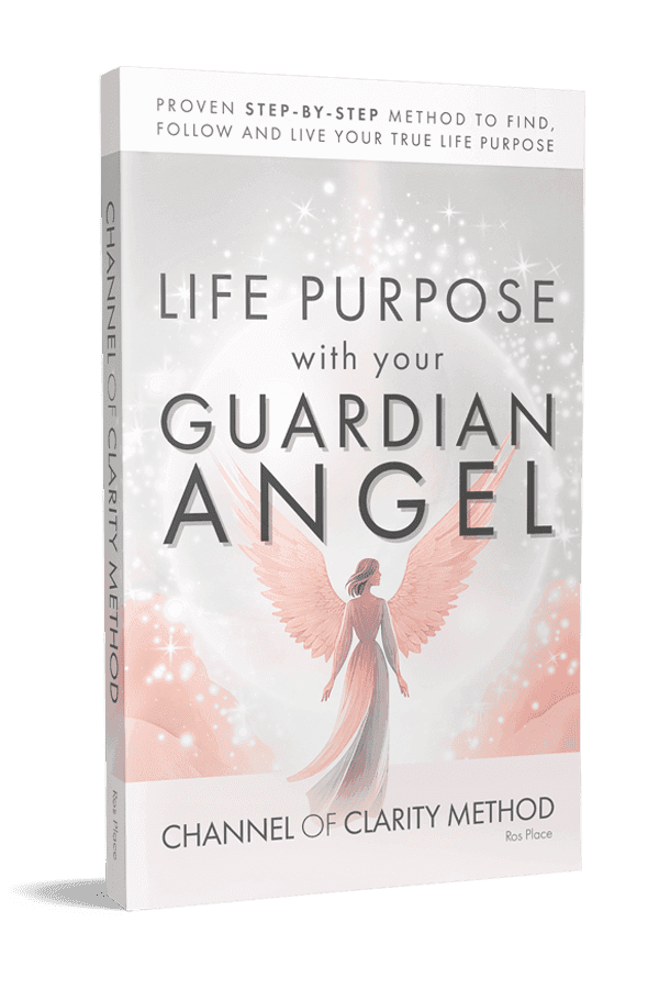 Image of Channel of Clarity Book by Ros Place