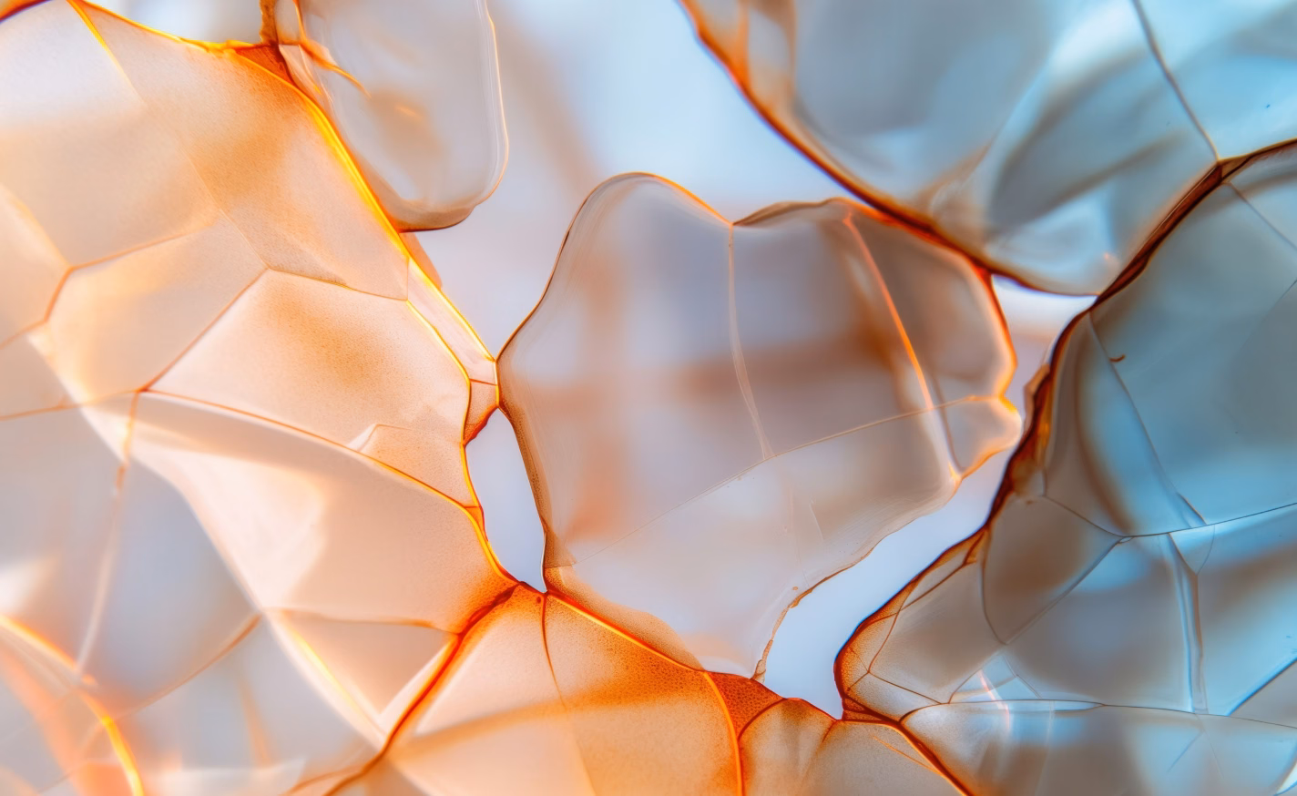 The future of digital design