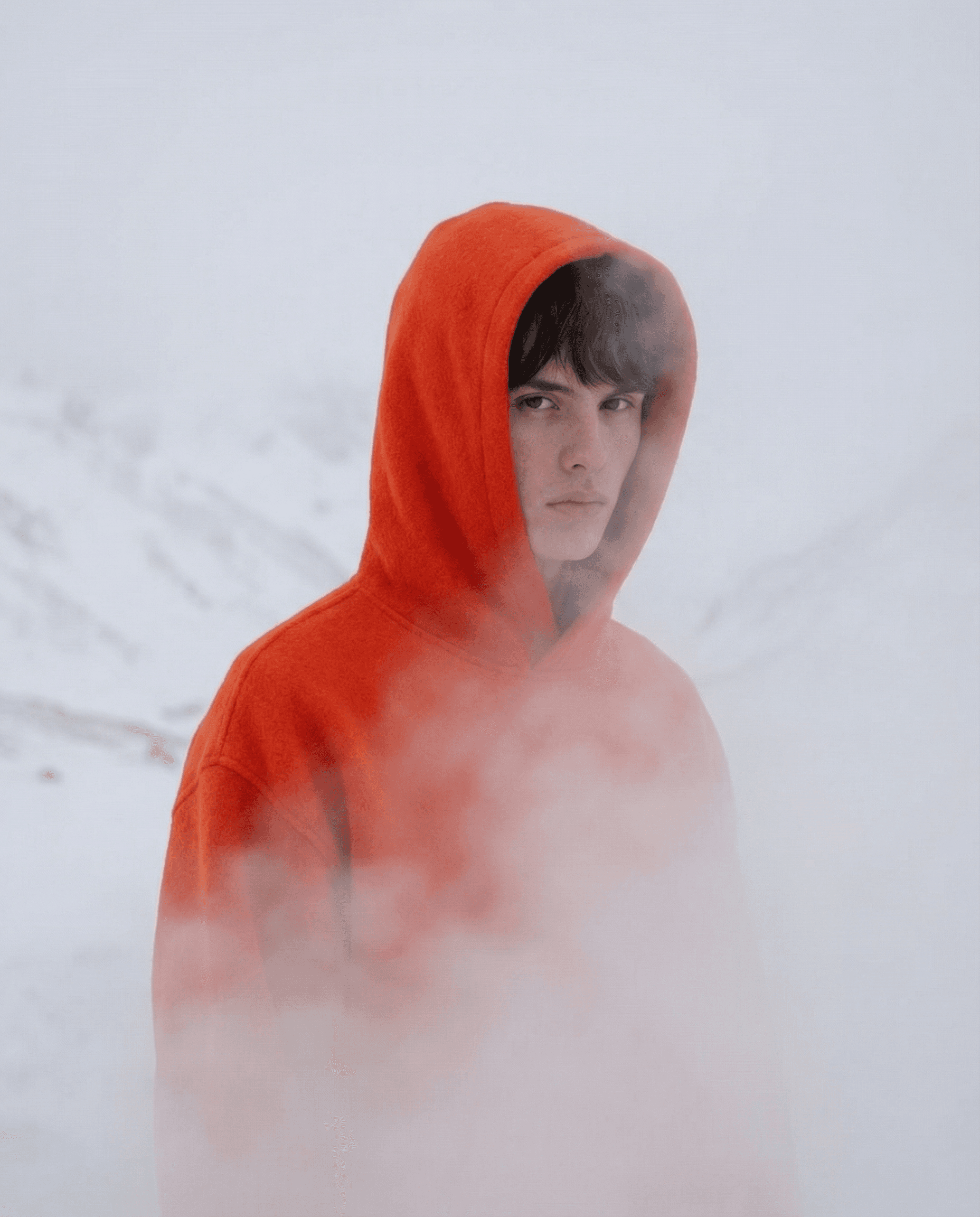 Interspecies narrative composition between human and beast, Primal connection visual study, Panavision C-Series anamorphic depth, Cognitive Luxury Storytelling, Engineered by Aventi