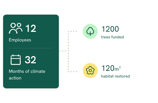 Compensate using carbon credits