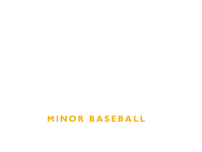 West Winnipeg Minor Baseball Logo, a TeamLinkt Partner