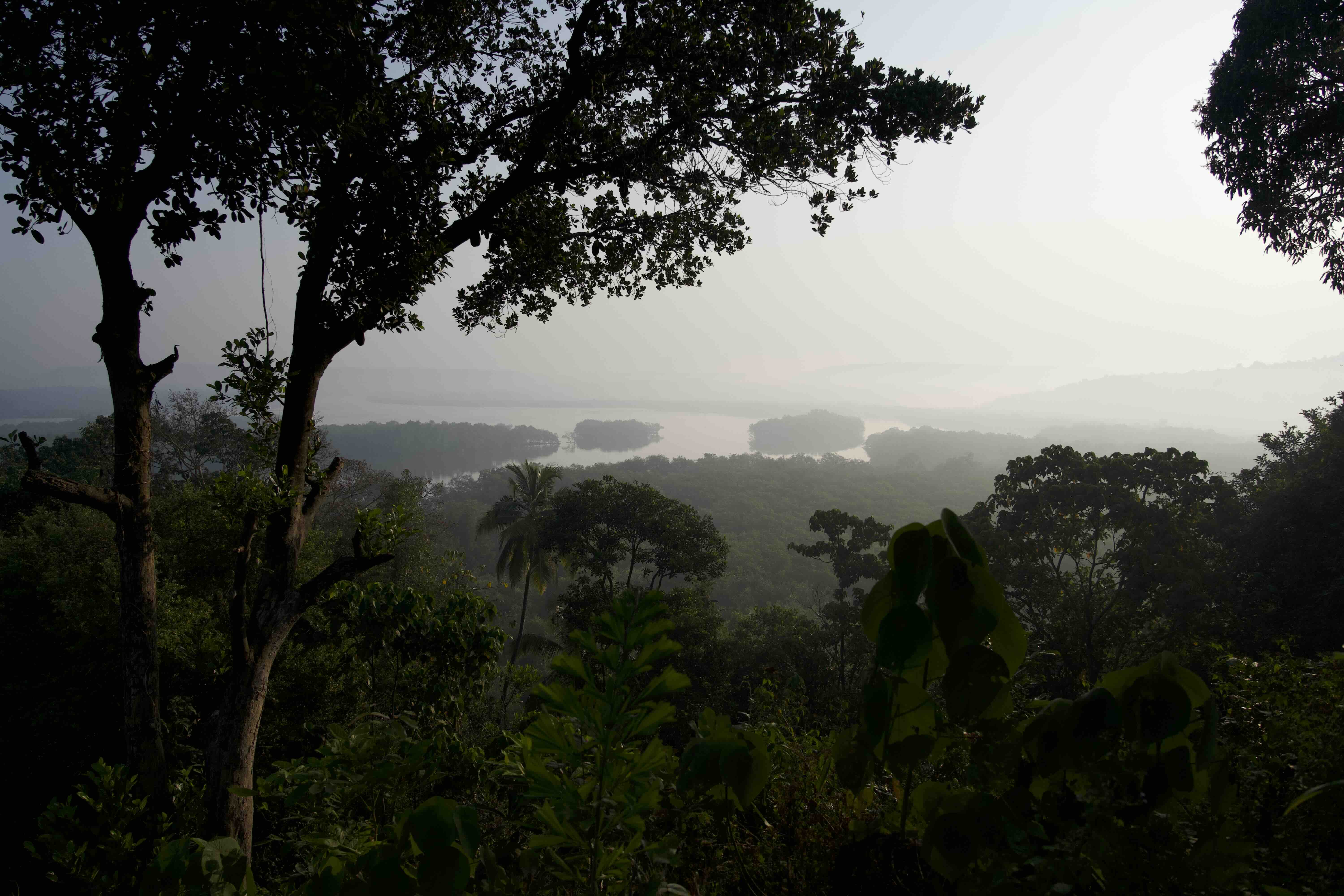 Panoramic view point with lake and tress