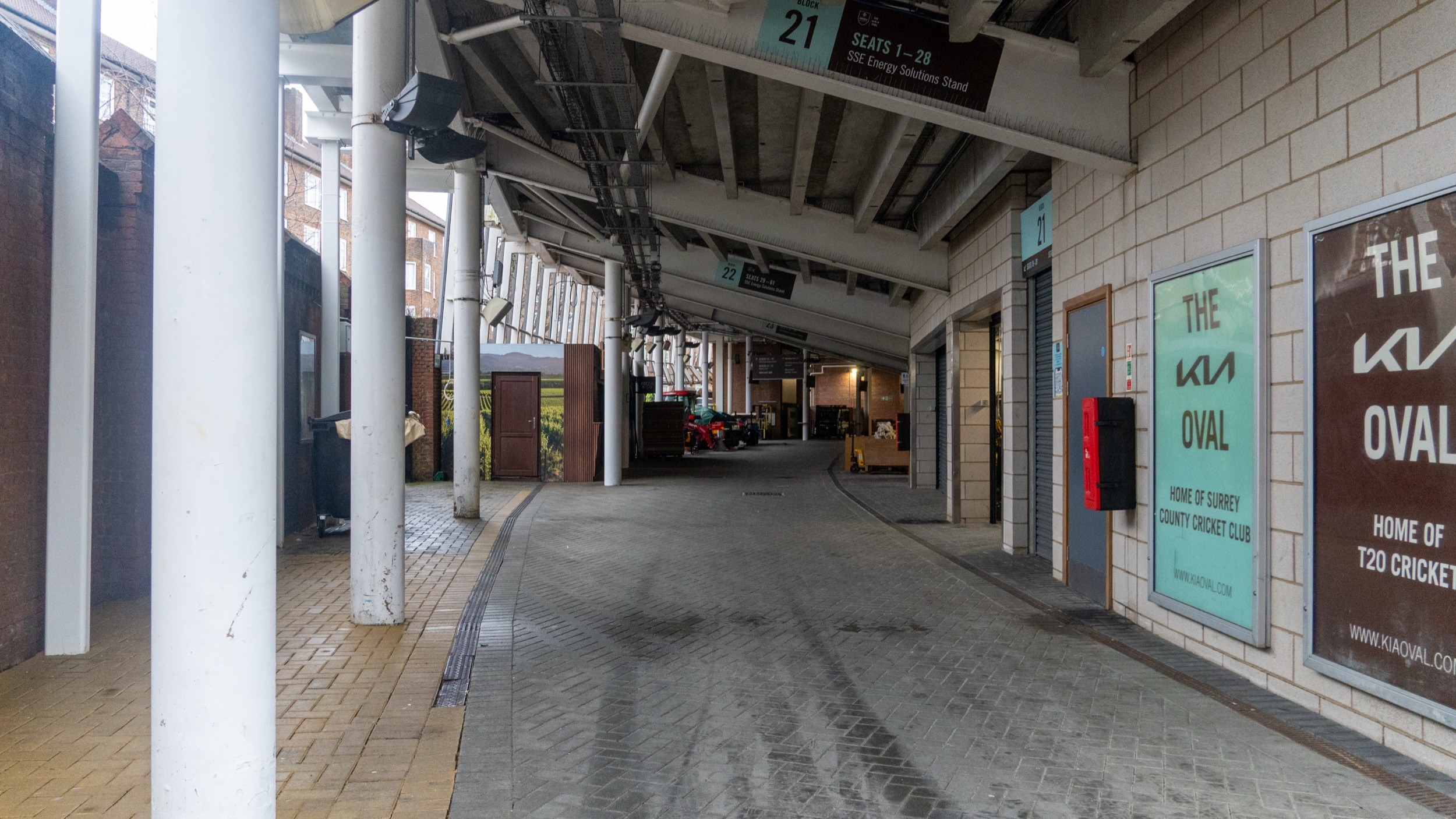 Two classic volkswagen beetles, one green, one cream.