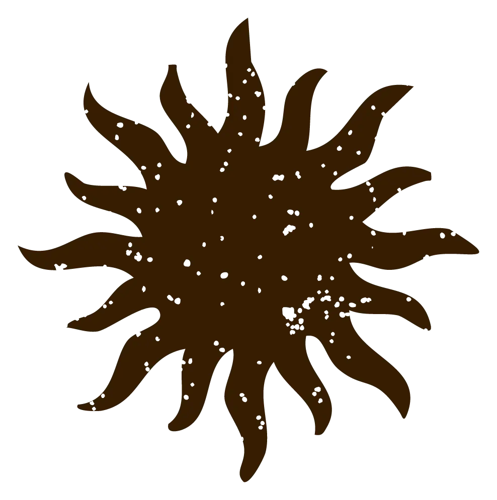 Soleil marron
