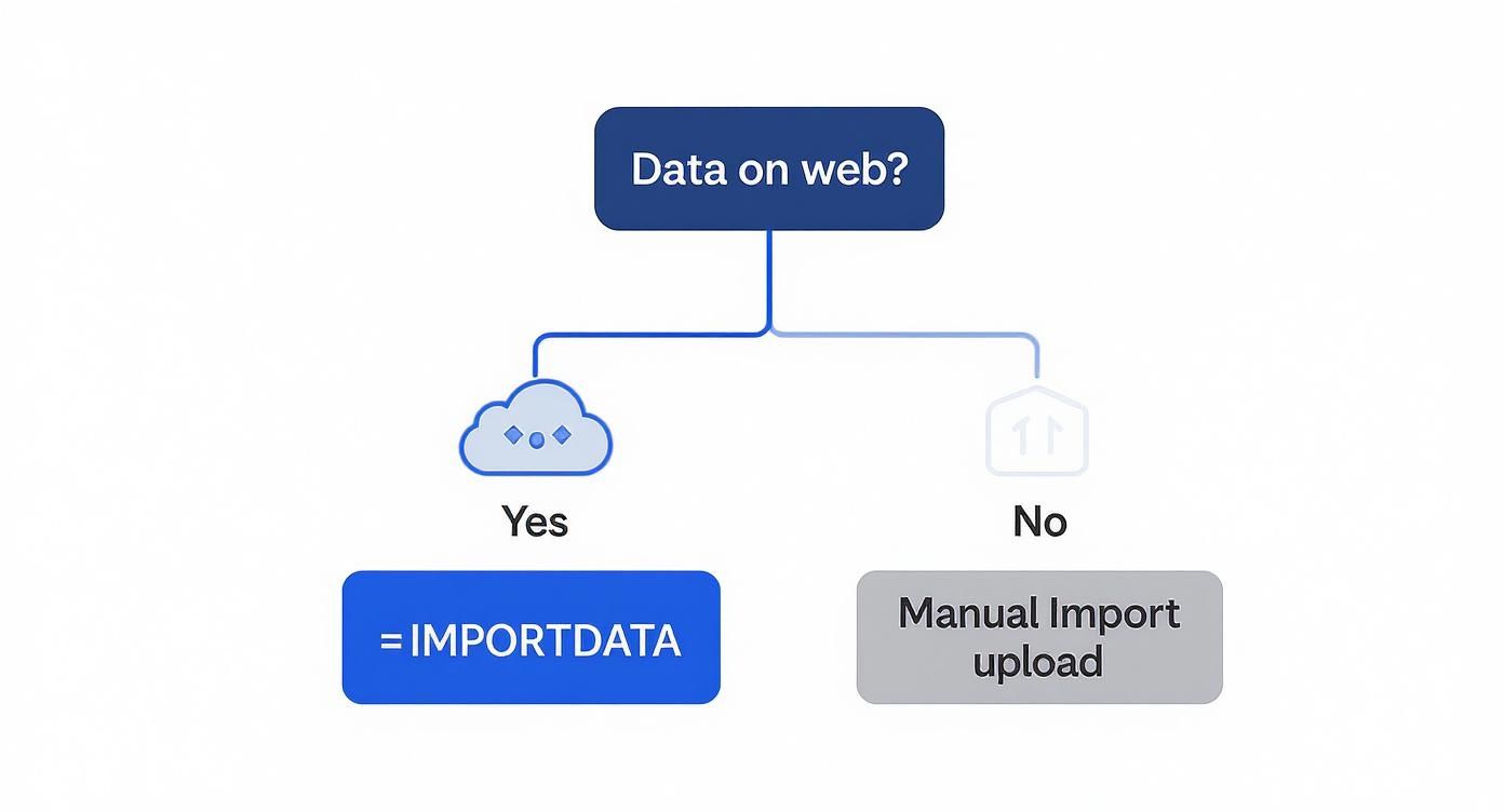 A flowchart illustrating how to import data: from the web using =IMPORTDATA or via manual upload.
