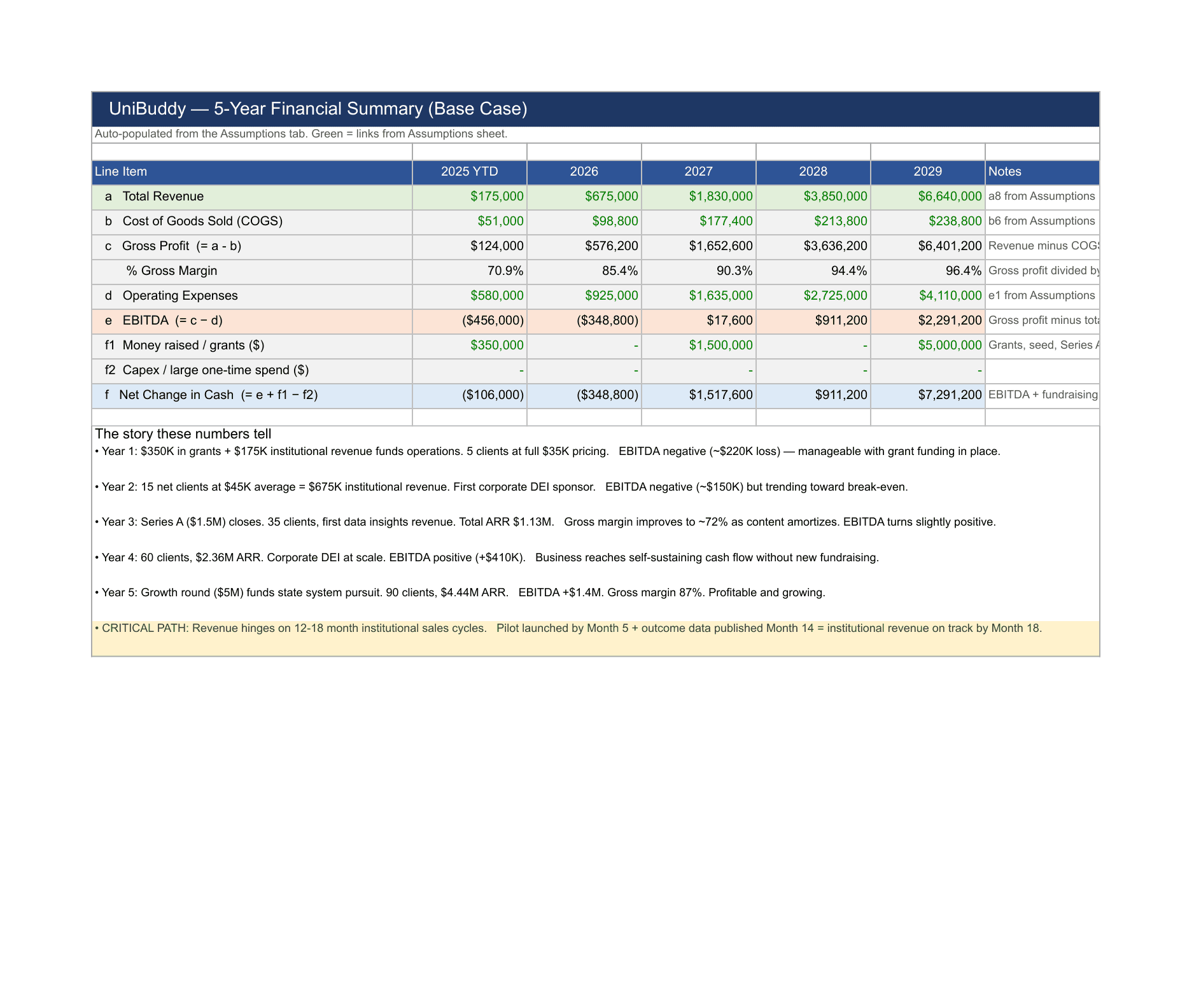 UniBuddy 5-Year Financial Summary
