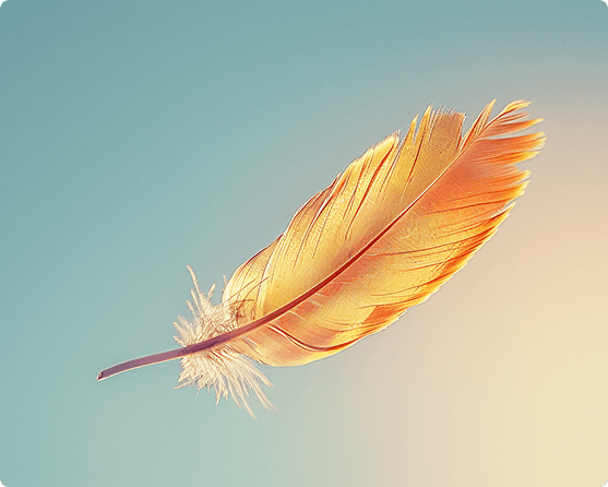 Orange feather
