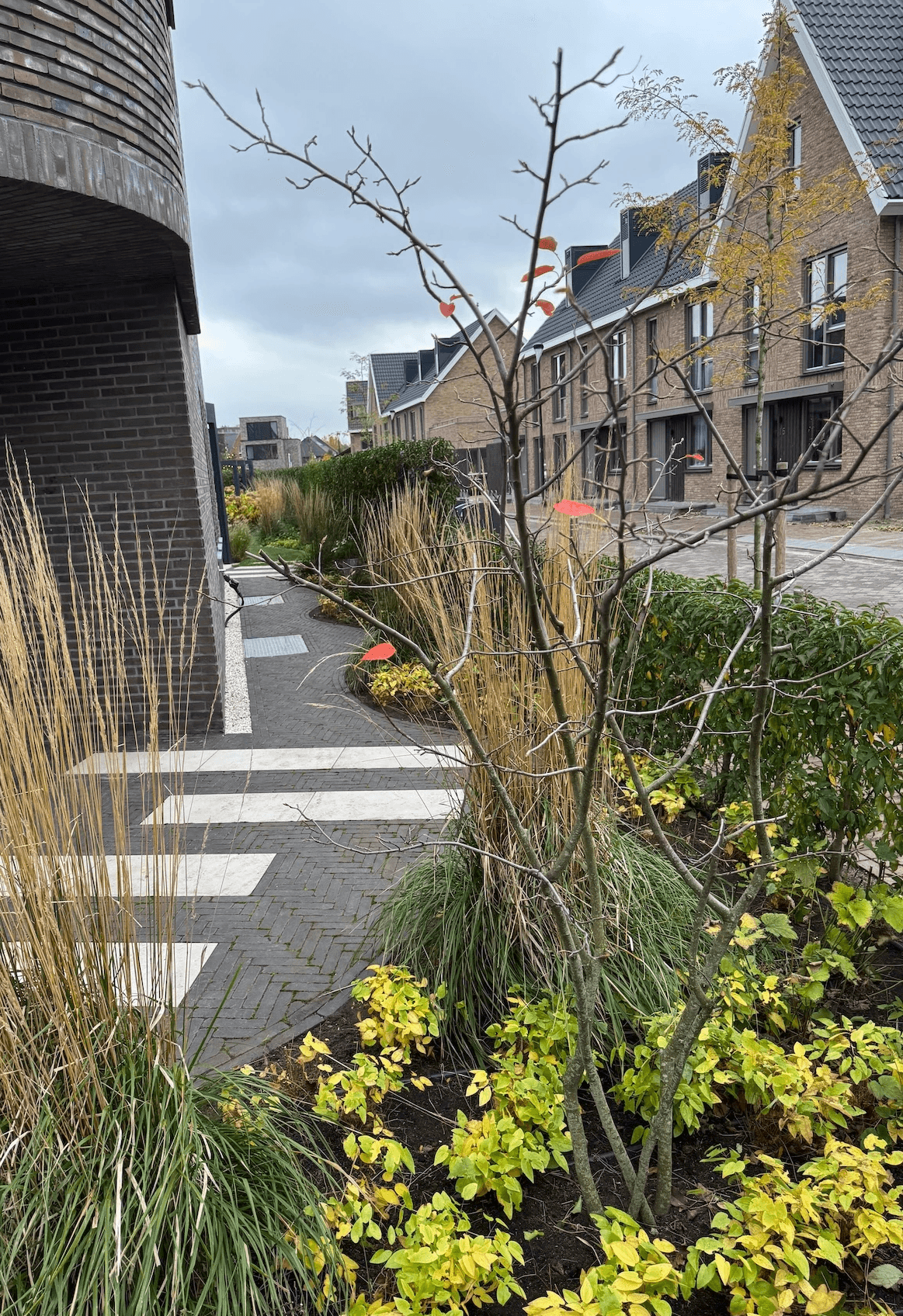 Beplanting - Art gardens