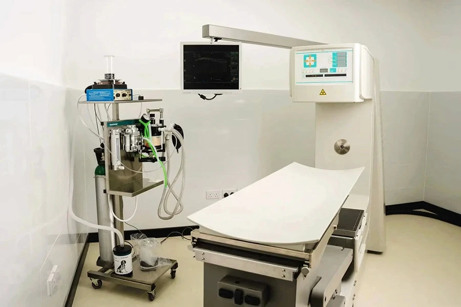 Our professional veterinarians use advanced equipment, like a CT scanner for pets, for accurate diagnostics