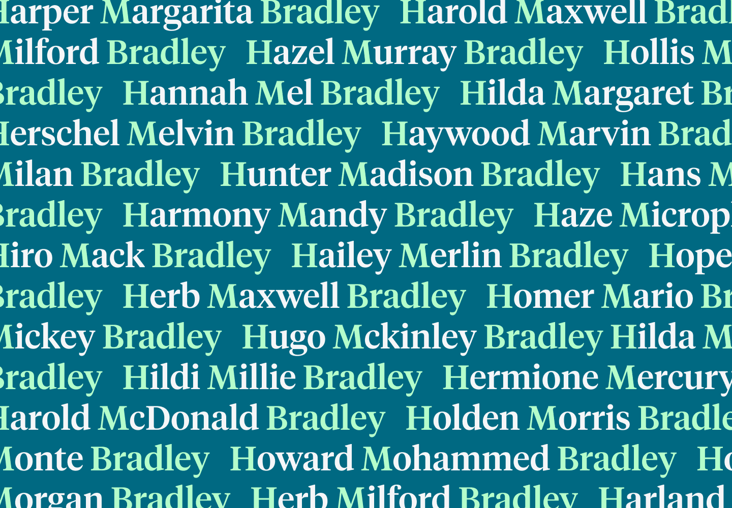 A wall of names with the initials H. M. Bradley