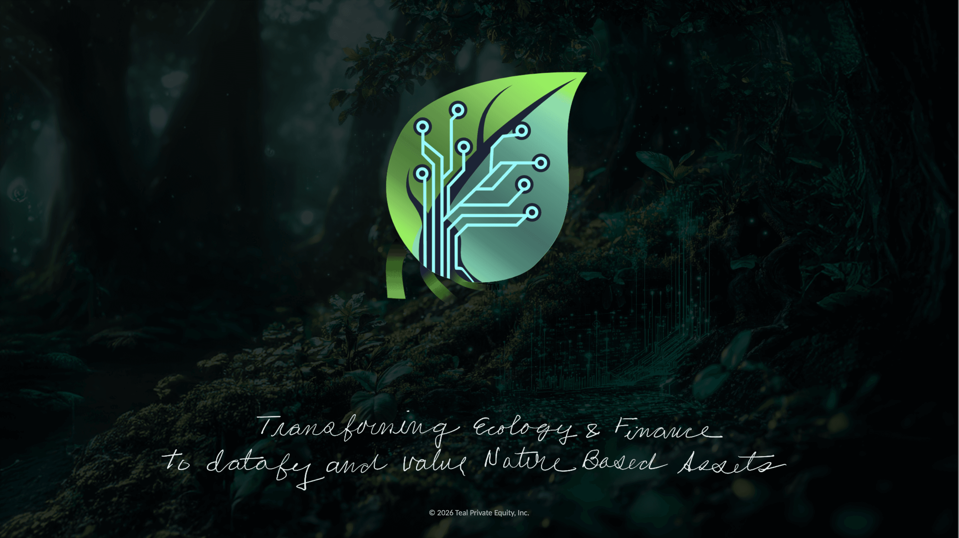 The image featured at the top of the about us page #1