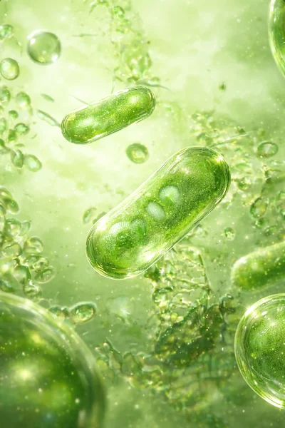 Close-up view of green microorganisms, resembling BACILLUS
LICHENIFORMIS, suspended in a fluid background.