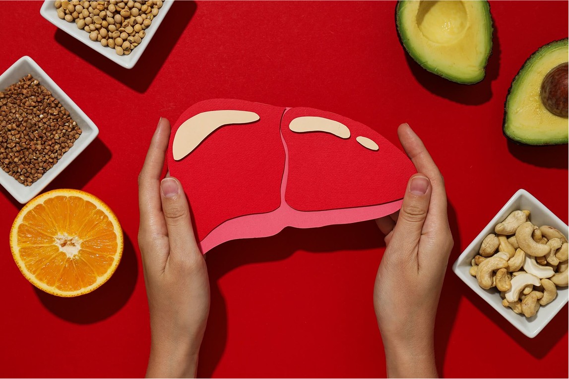 Liver Function Tests Explained
