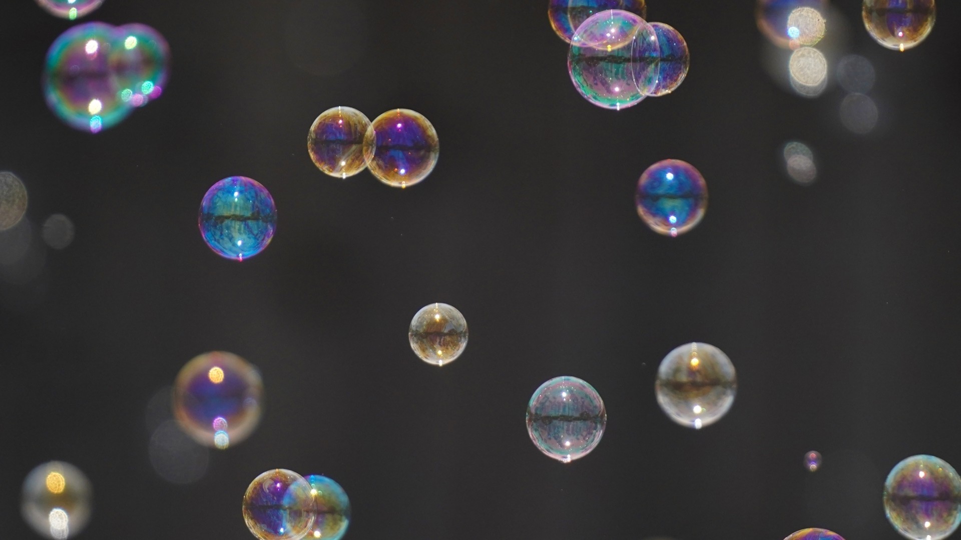 泡が浮かんでいる様子