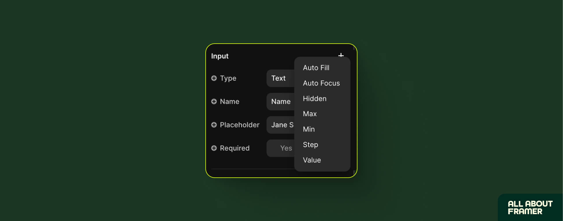 Input field options for forms in Framer