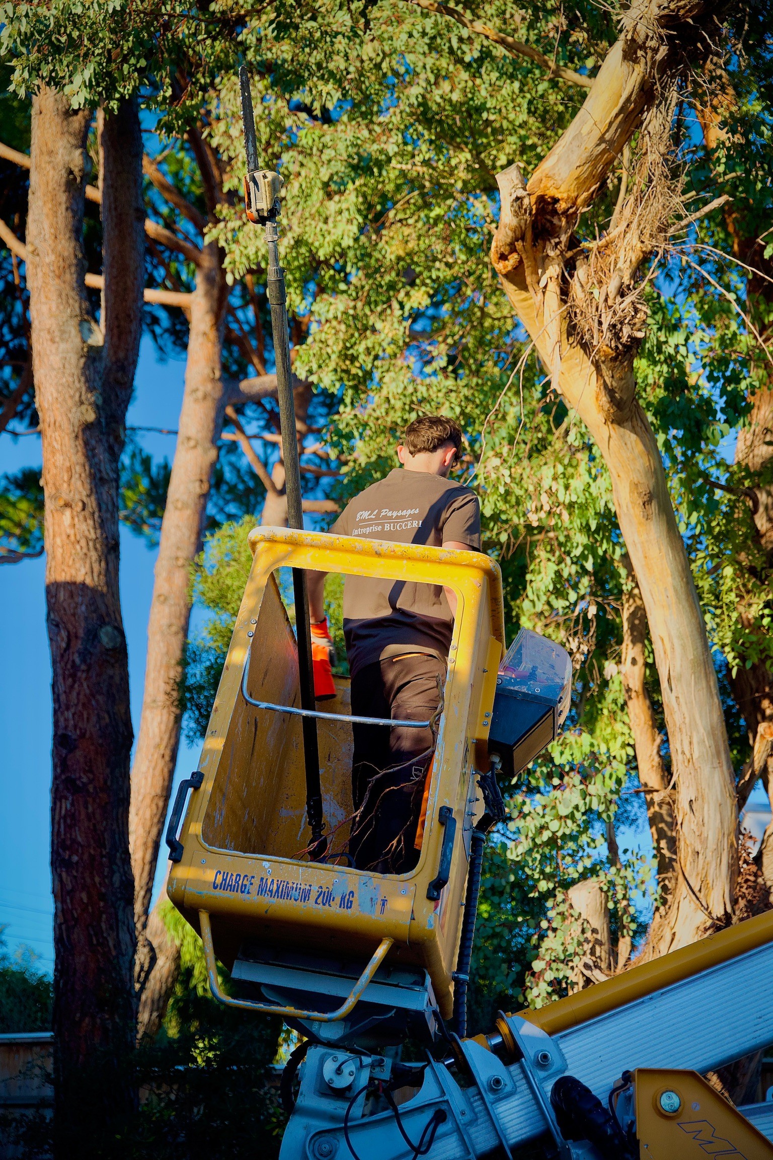 Conception de massifs fleuris et entretien d'espaces verts pour une résidence aux Salins.