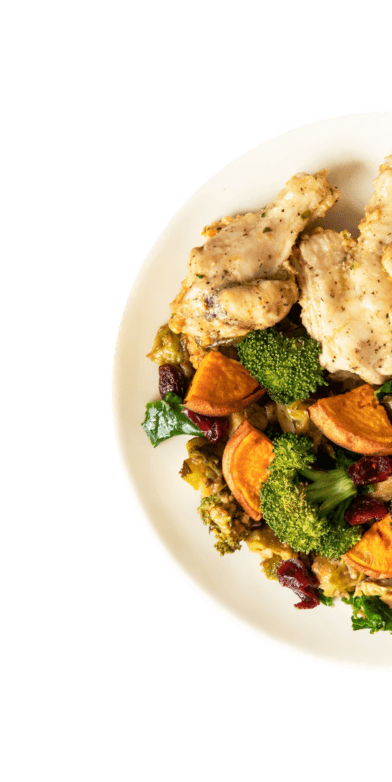 A white plate with grilled chicken pieces, broccoli florets, sweet potato slices, and dried cranberries showcases a balanced diet plan. The vibrant colors of the vegetables and fruit complement the lightly seasoned chicken, promoting both wellness and nutrition.