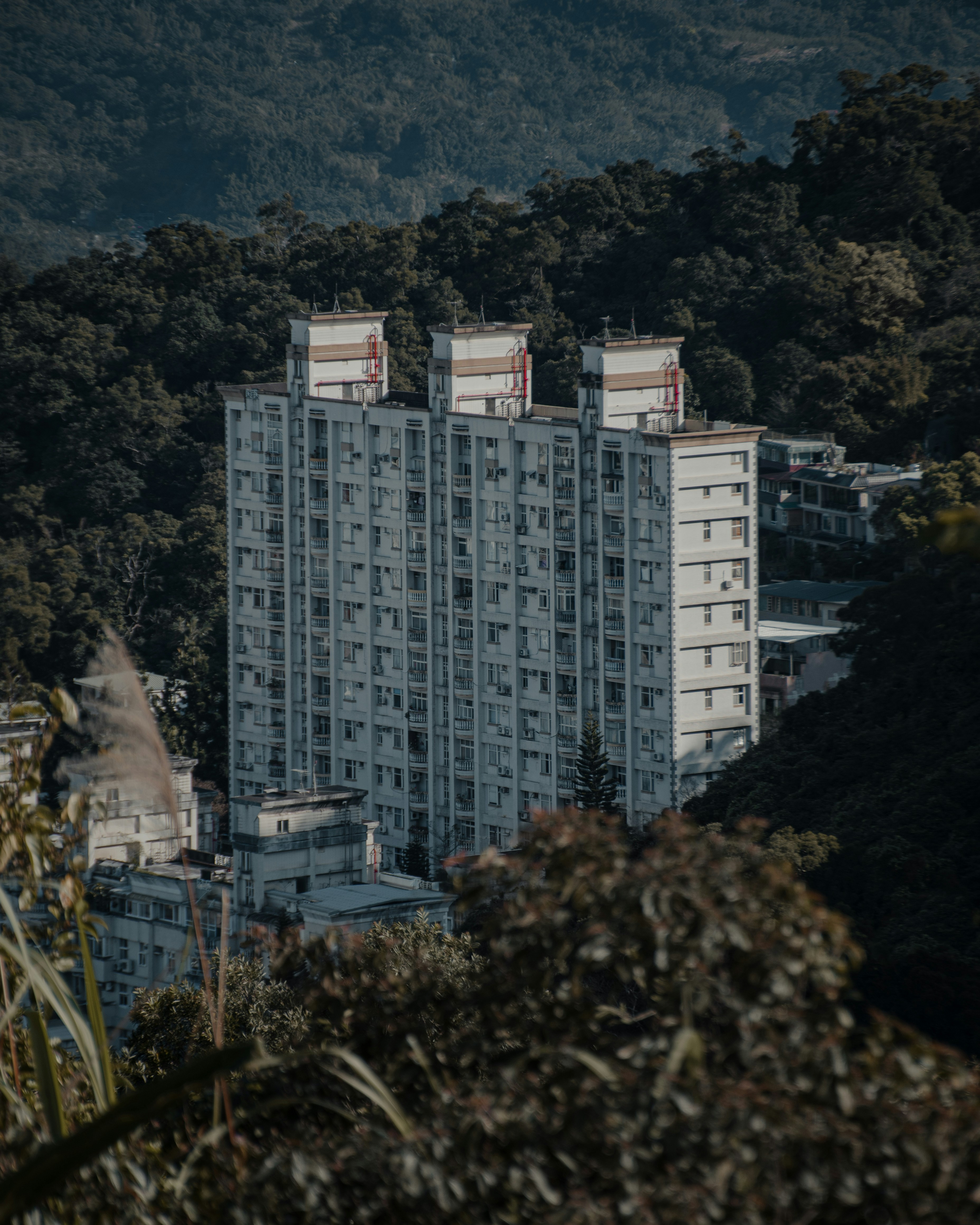 a very tall white building sitting in the middle of a forest