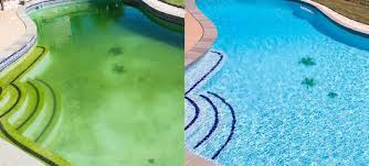 Why Your Pool Still Looks Dirty After Cleaning