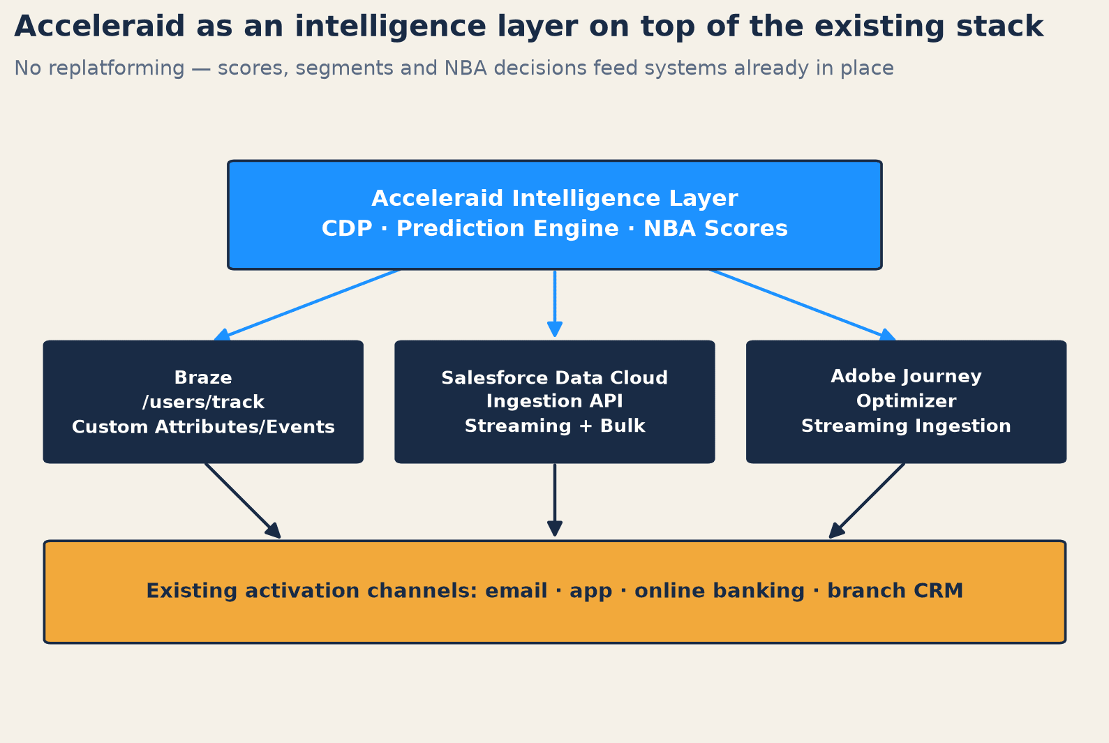Acceleraid intelligence layer feeding Braze, Salesforce Data Cloud, and Adobe Journey Optimizer
