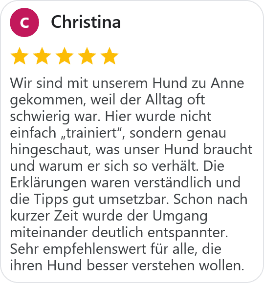 five star google review from Christina