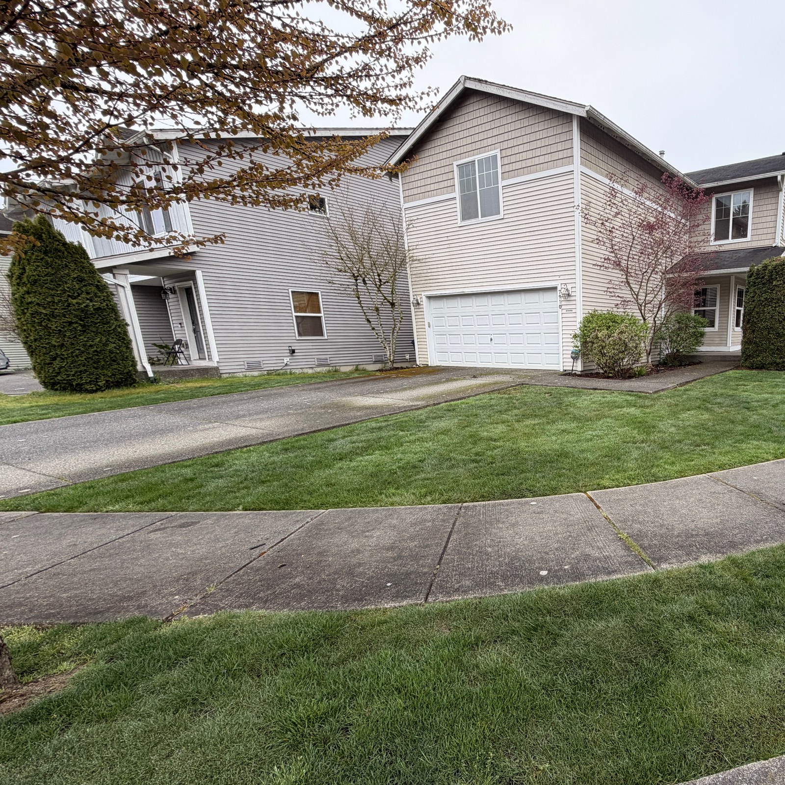 Before: driveway & sidewalk pressure washing in Marysville, WA