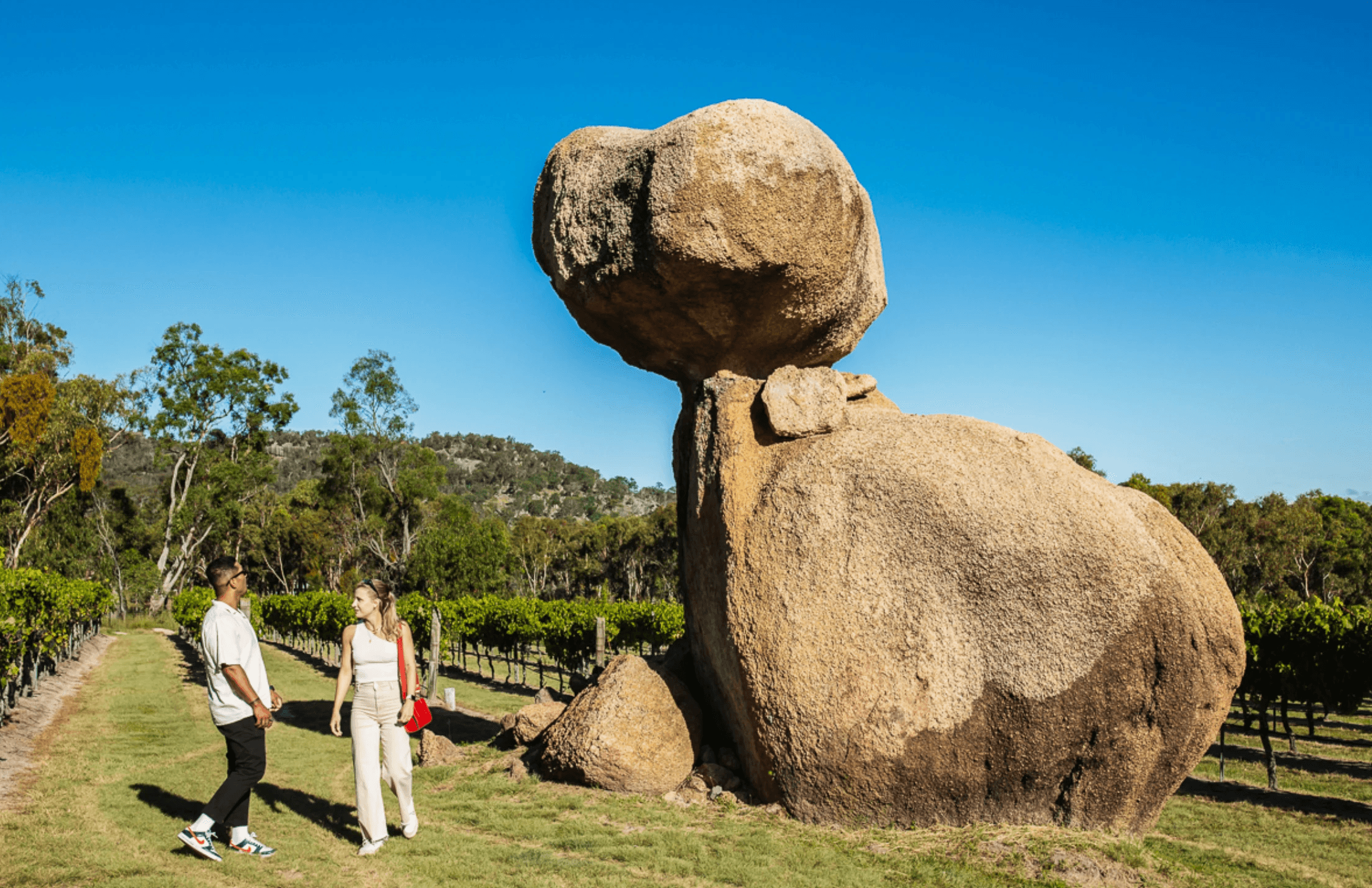 Balancing Heart Vineyard Winery Granite Belt QLD