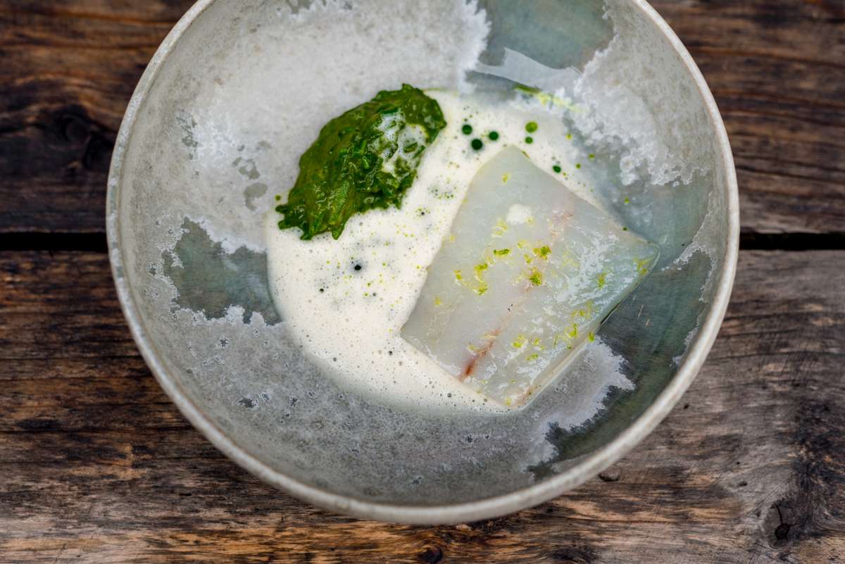 Top-down view of a ceramic bowl containing a white foam with green herb oil and a rectangular piece of fish.