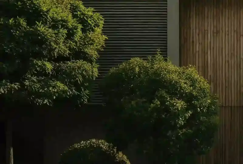 natural greenery with modern architectural design, suggesting an emphasis on sustainability or biophilic design. The lighting is warm and subdued, likely captured in the late afternoon or early morning