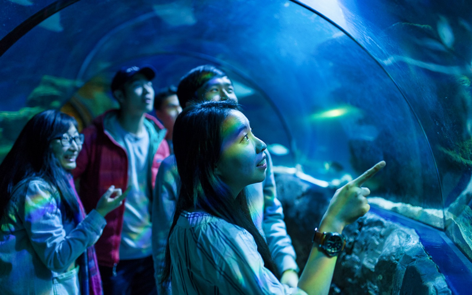 Visitors exploring underwater tunnel at SEA Life London.