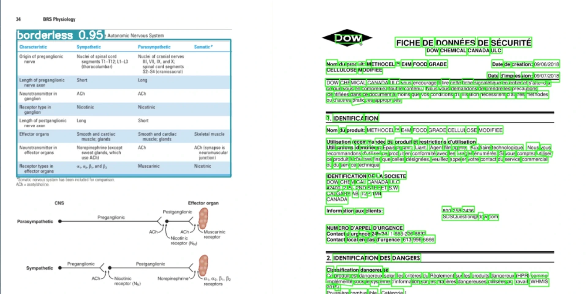 91% Document Processing Accuracy | TrailBlazed AI