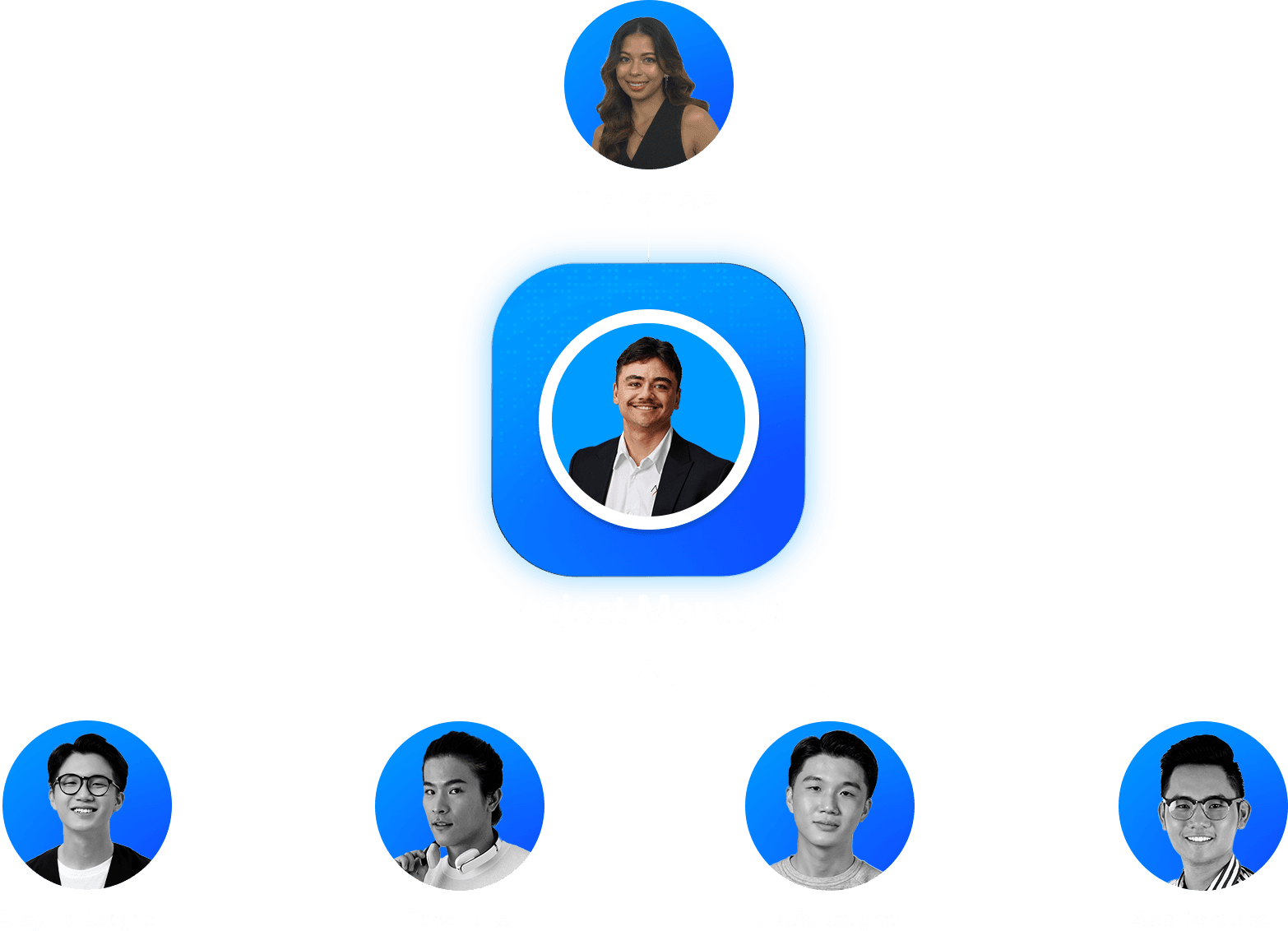 Apex Global Org chart