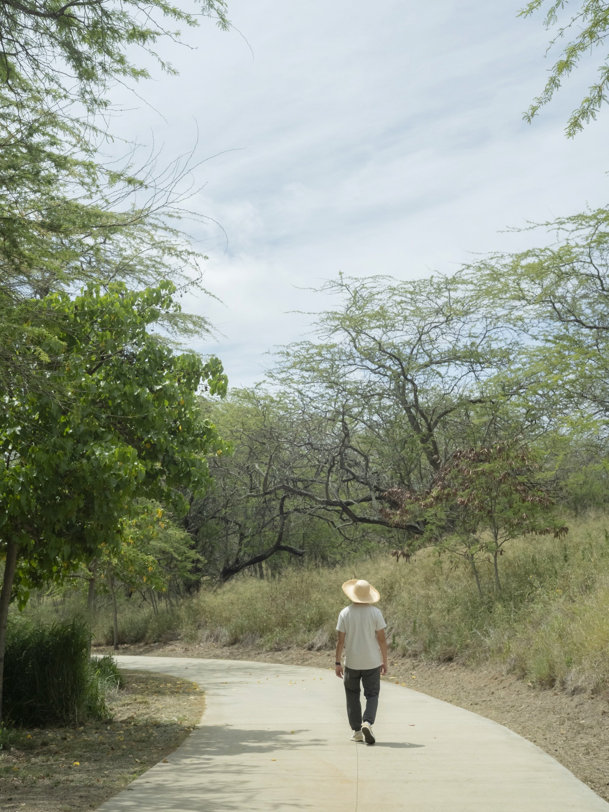 Fort Ruger Pathway