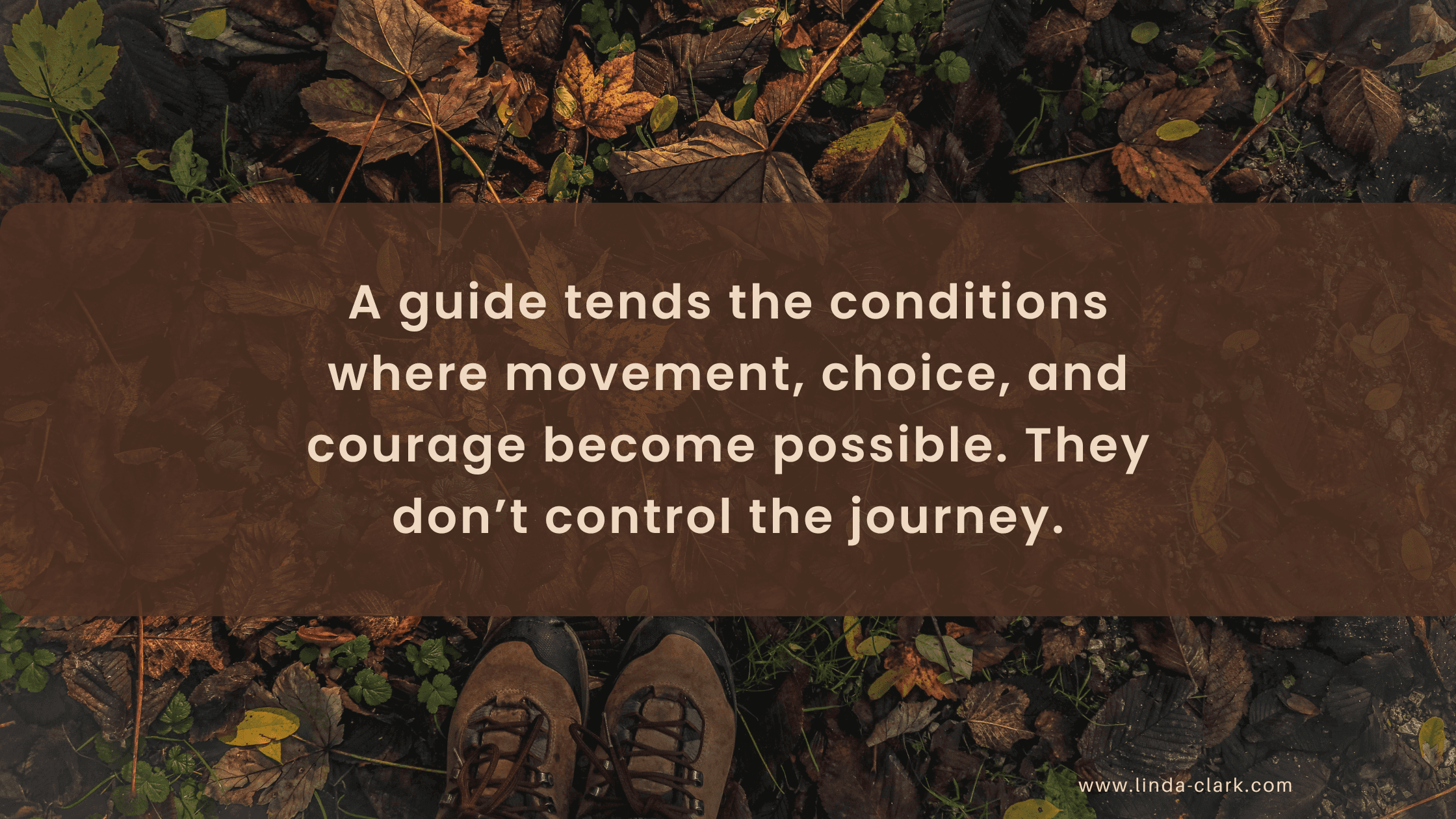 A photo of a forest floor covered in leaves and looking down at your boots in the leaves. The title of the blog post is on a brown background and says Guideship: The Leadership Evolution You Need to Know | Linda Clark