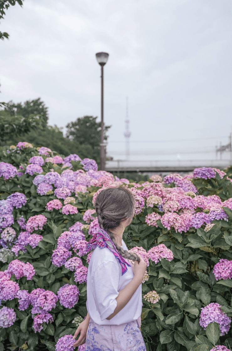 Person posing in front of pink and purple hydrangeas with Tokyo Skytree in the background at Kyunakagawamizube Park