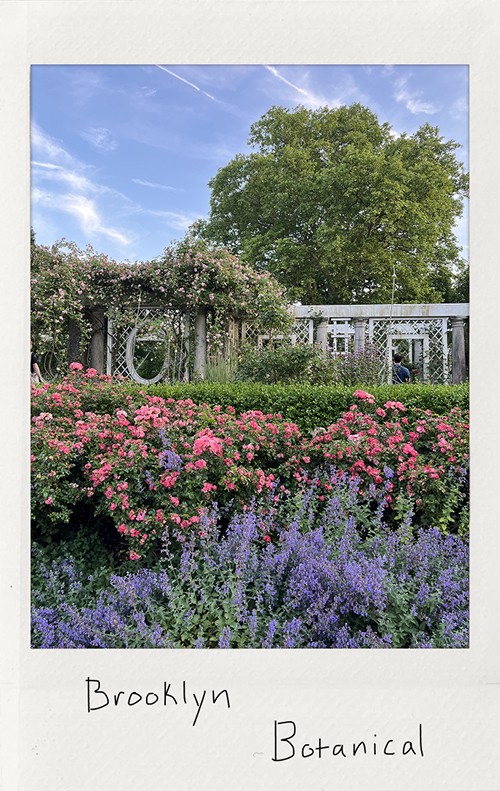 Park Polaroid - My Dao Designer Portfolio