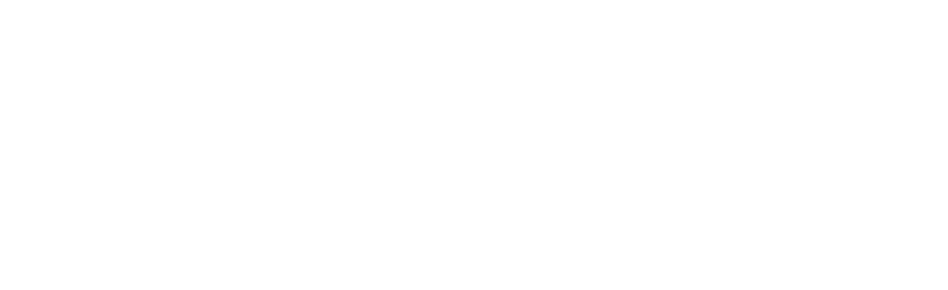 Chameleon Digital Media