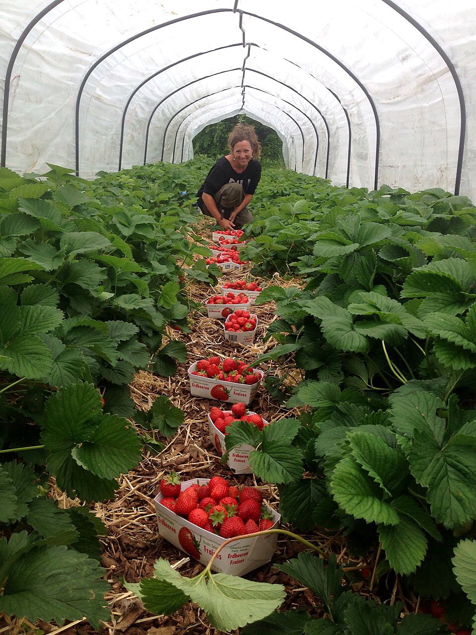 Kontaktiere uns gerne - Ursula Bucher