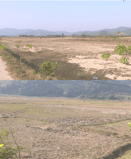 a person digging in the dirt