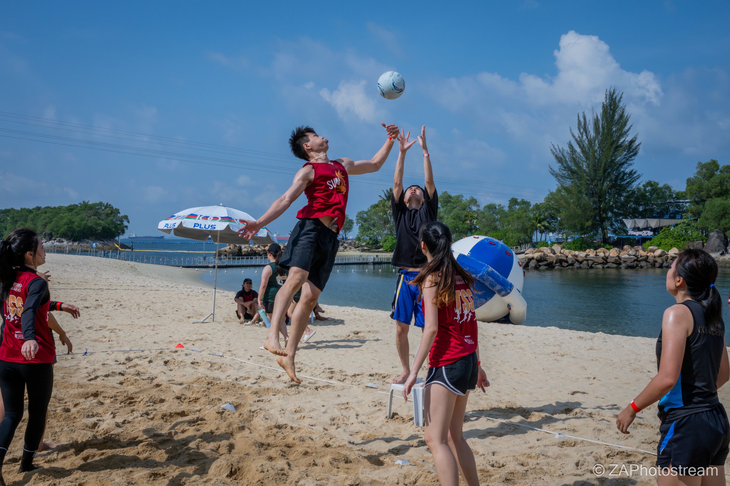 sunnus volleyball