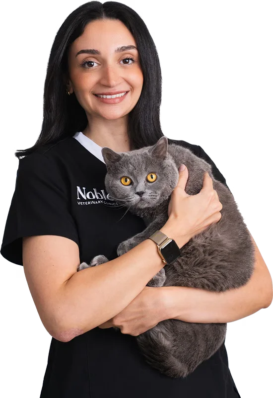 Helping Pets Live Pain-Free and Active Lives