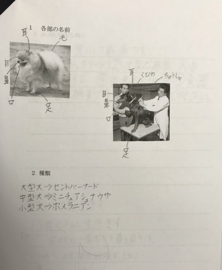 右往左往君への取説