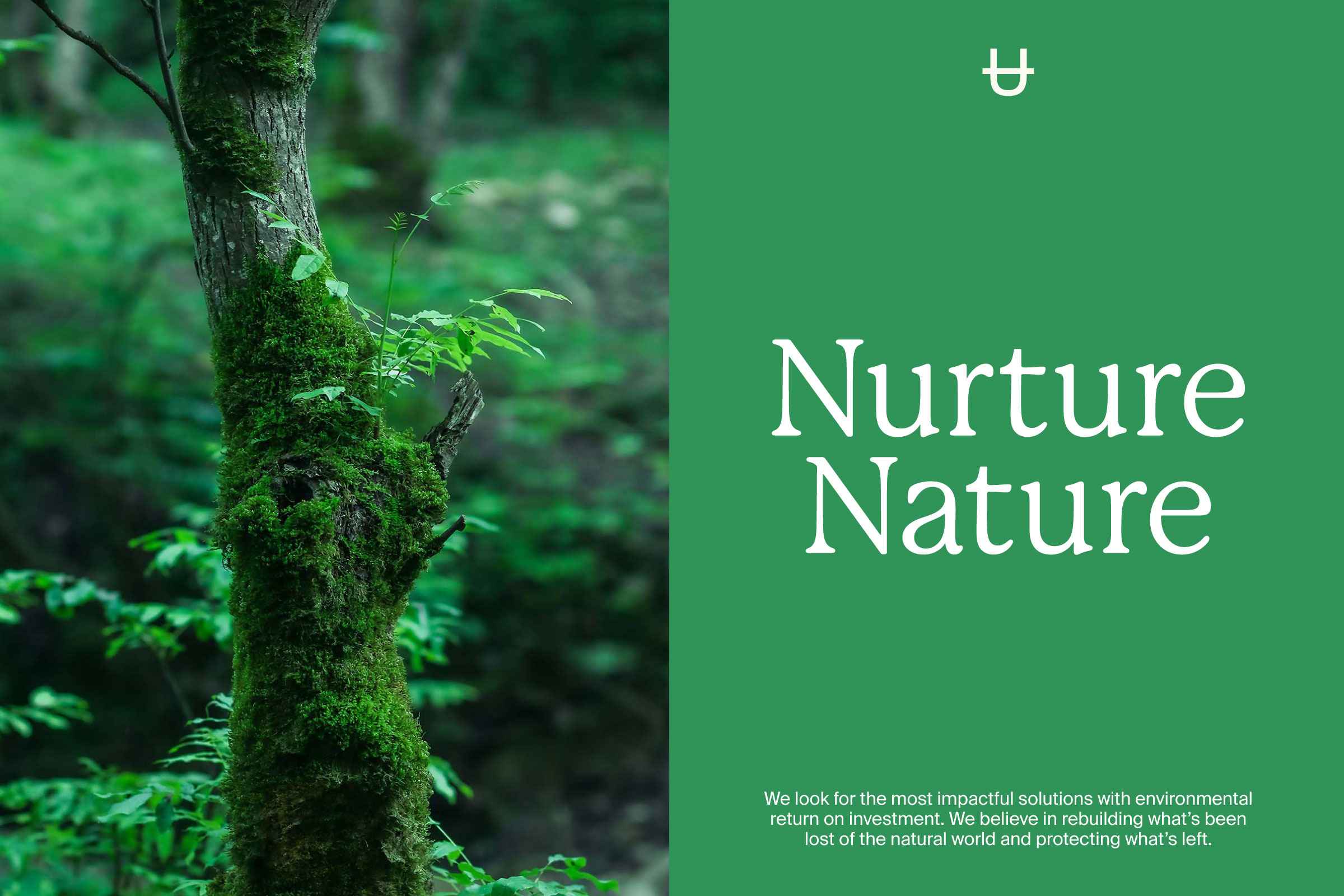 Understorey storytelling: A moss-covered tree trunk next to a green sign with serif typography reading "Nurture Nature."