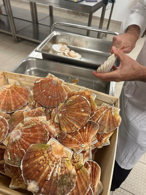 Unlocking growth: strategies for scaling your business