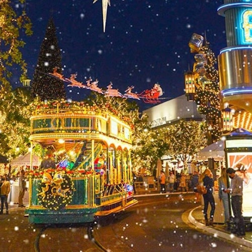 Los Angeles Holiday Lights Bus & Rodeo Drive Walking Tour