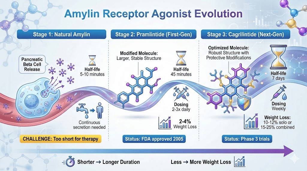 amylin receptor agonist evolution