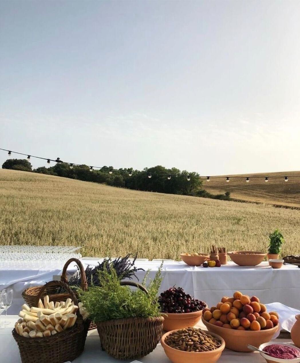 Here comes the alt text